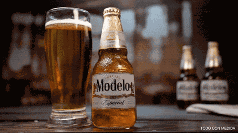 Modelo Modelo Especial GIF