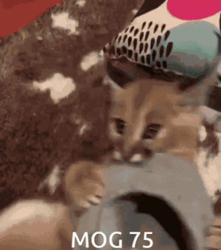 Mog75 Mogambo Khush Hua GIF