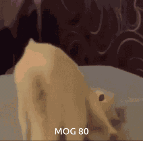 Mog80 Mogambo Khush Hua GIF