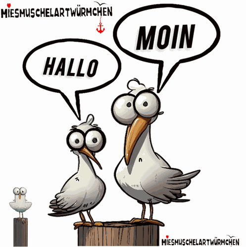 Moin Hallo Moin GIF