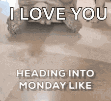 Mollymahoney Thepreparedperformer GIF