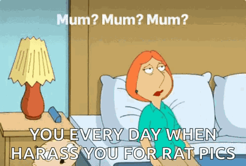 Mom Happy Birthday Mom GIF