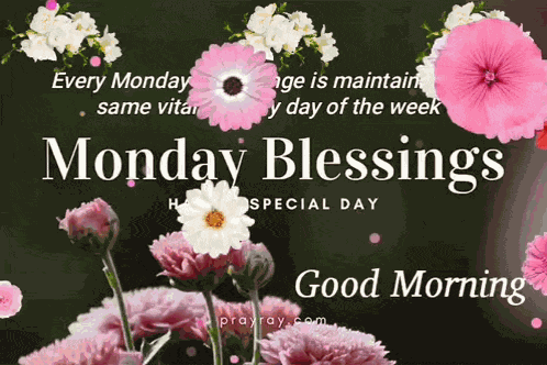 Monday Blessings GIF