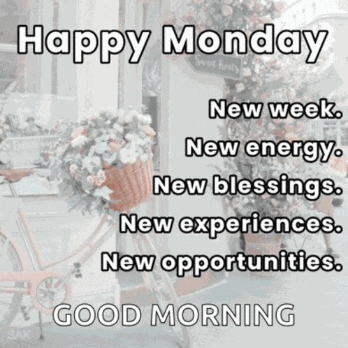 Monday Happy Monday Meme