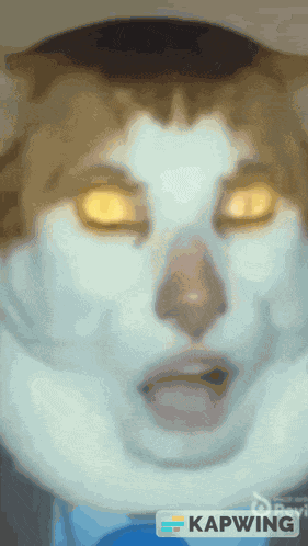 Monday Left Me Broken Cat GIF