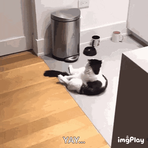 Monday Mood GIF