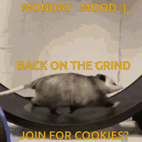 Monday Mood GIF