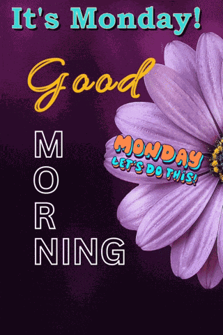 Monday Morning GIF