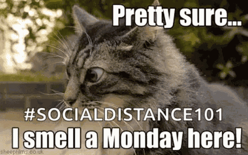 Monday Morning Smell Monday GIF