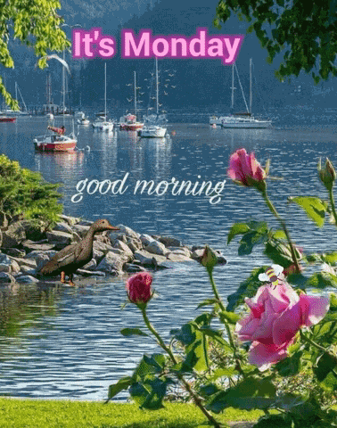 Monday Morning GIF