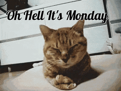 Monday Oh Hell Its Monday GIF