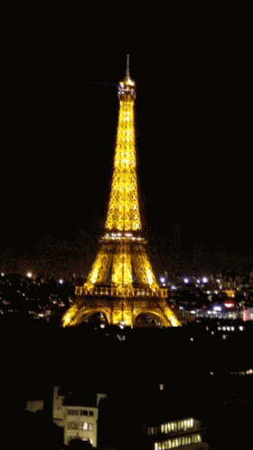 Monday Paris GIF