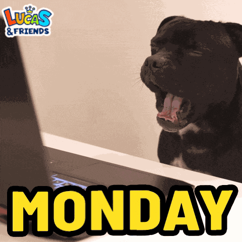 Mondays Monday Already GIF