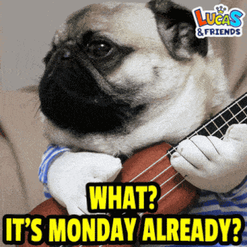Mondays Monday Already GIF