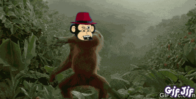 Money Minded Apes Mmaxrp GIF