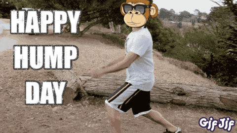 Money Minded Apes Moneymindedapes GIF