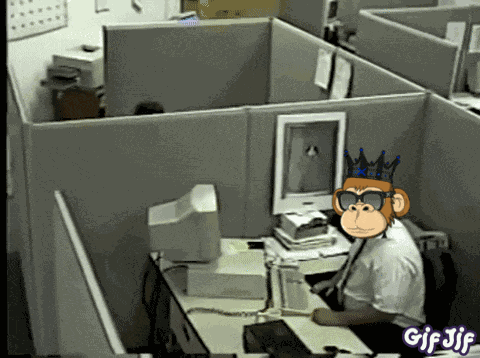 Money Minded Apes Moneymindedapes GIF