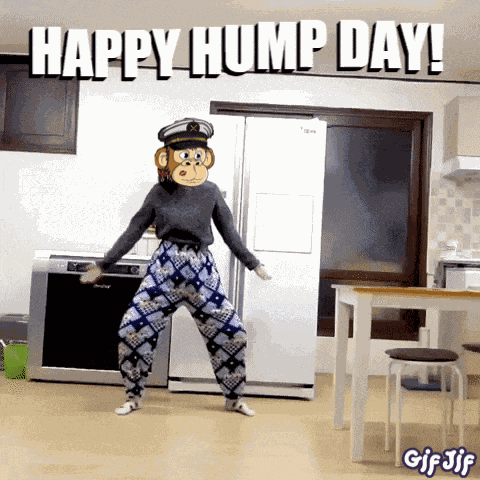 Money Minded Apes Moneymindedapes GIF