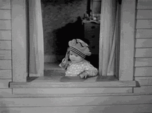 Money Out The Window Money GIF
