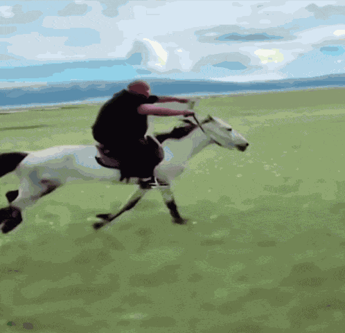 Mongolian Horse GIF