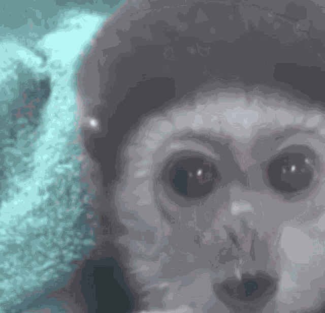 Monke Yoing Yawning GIF