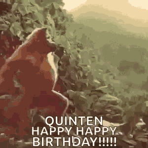 Monkey Ape GIF