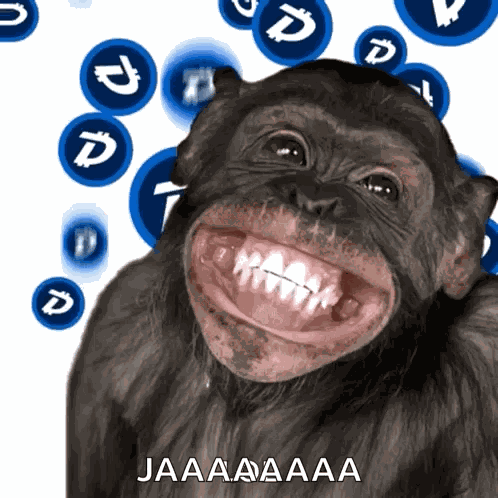 Monkey Ape GIF