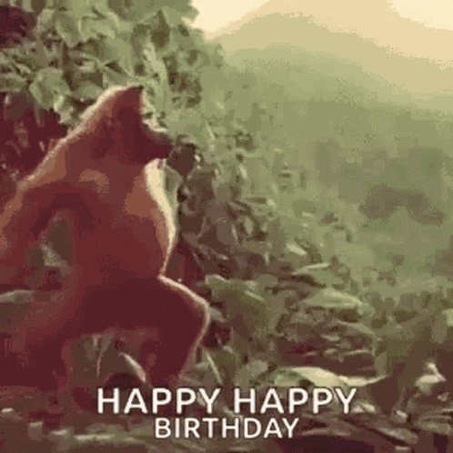 Monkey Ape GIF