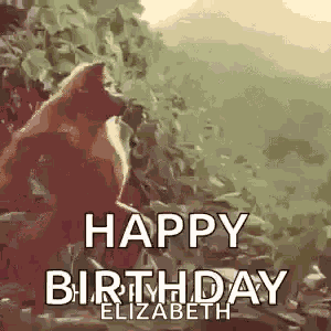 Monkey Ape GIF