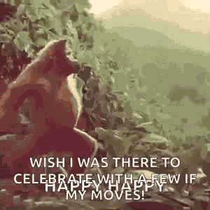 Monkey Ape GIF
