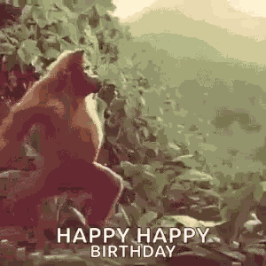 Monkey Ape GIF