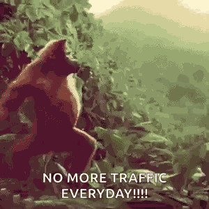 Monkey Ape GIF