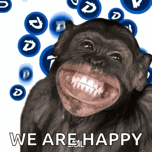 Monkey Ape GIF