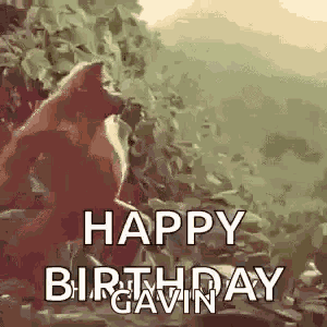 Monkey Ape GIF