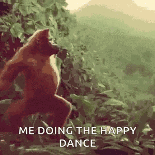Monkey Ape GIF