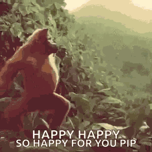 Monkey Ape GIF
