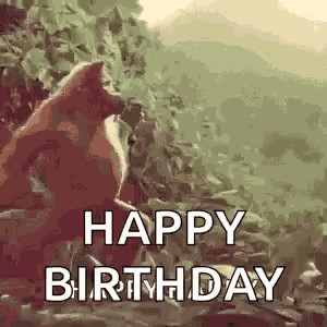 Monkey Ape GIF