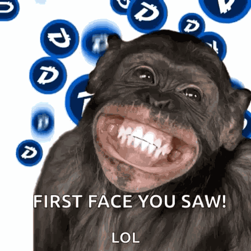 Monkey Ape GIF