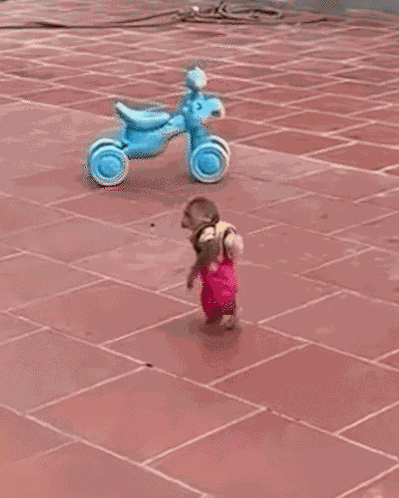 Monkey Baby Monkey GIF