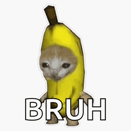 Monkey Canon Event Meme