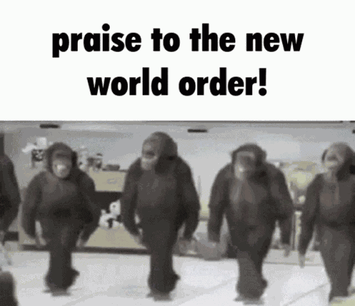 Monkey Cdrp GIF