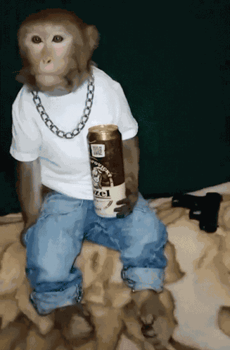 Monkey Chill Monkey GIF