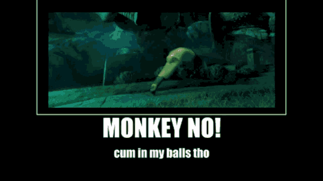 Monkey Cum In My Balls Tho GIF
