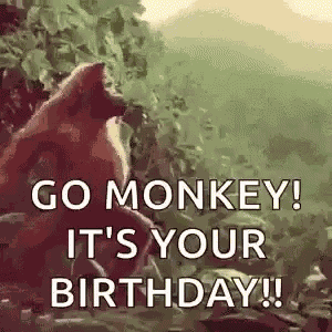 Monkey Dance GIF