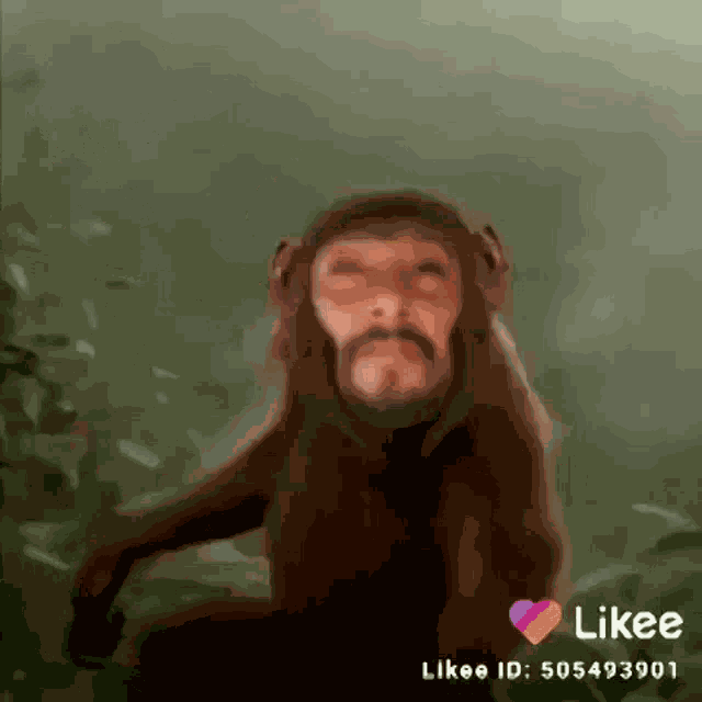 Monkey Dance GIF