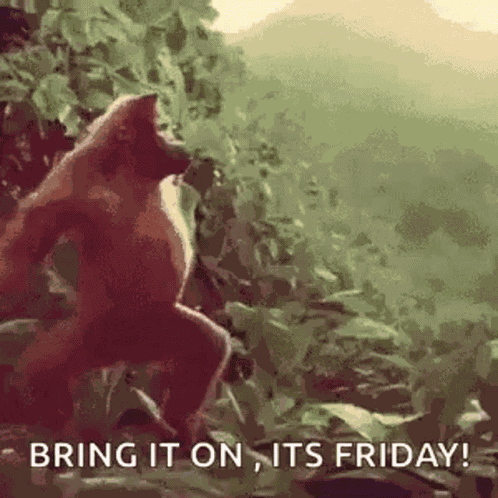 Monkey Dance GIF
