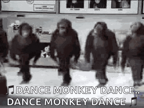 Monkey Dance GIF