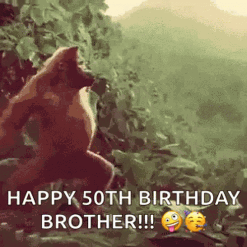 Monkey Dance GIF