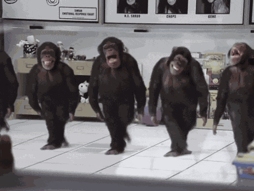 Monkey Dancing Chimp GIF