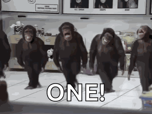 Monkey Dancing Chimp GIF